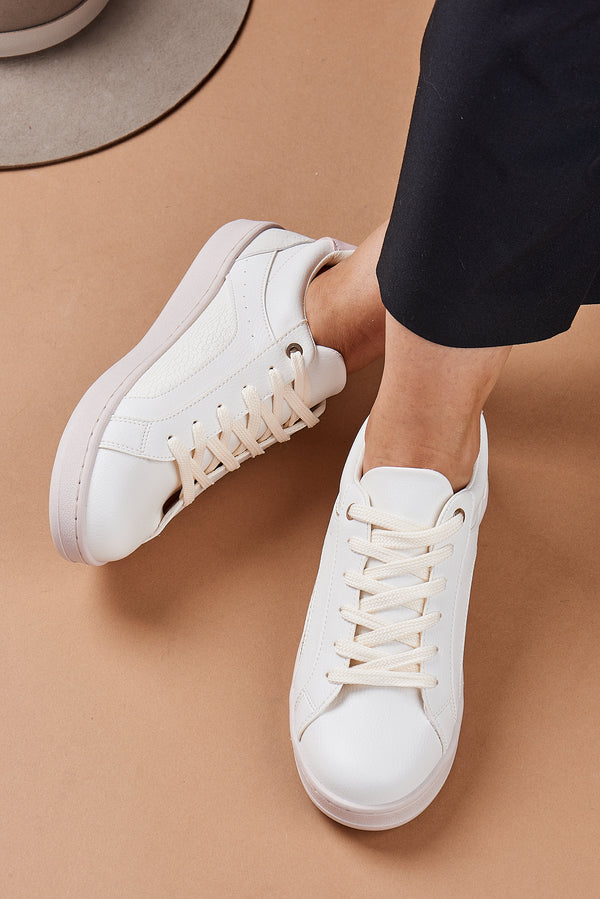 Tulipan Talco x Rosa